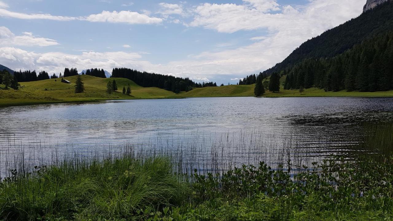 Tauglerei Enzian In Den Zauberbergen * Sankt Koloman